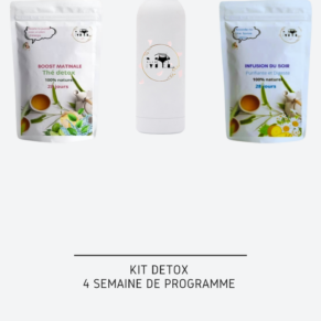 PACK BOOST DETOX PLUS BOUTEILLE